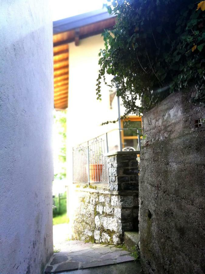 Rustico Vista Lago Apartment Lezzeno Bagian luar foto